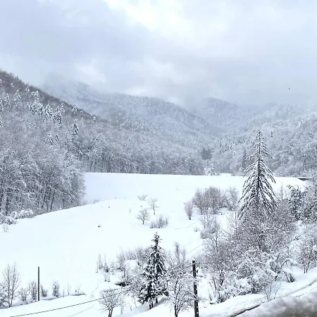 Nature Escape Apartmán Brašov