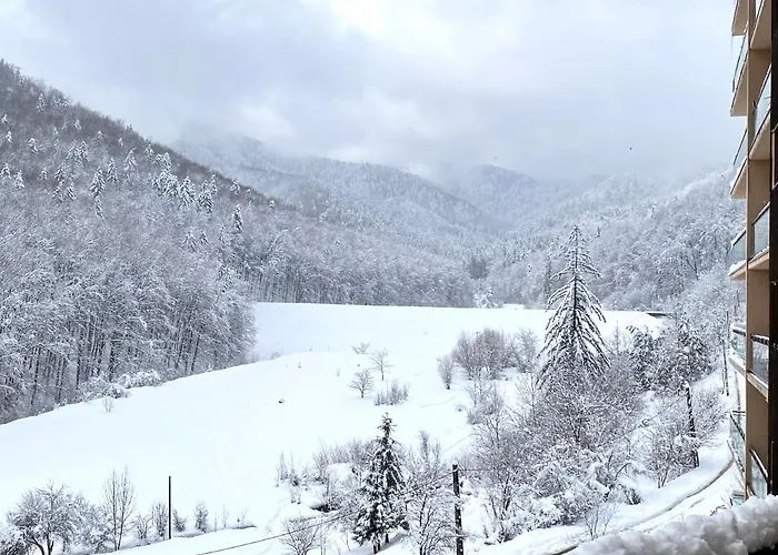 Nature Escape 아파트 브라쇼브